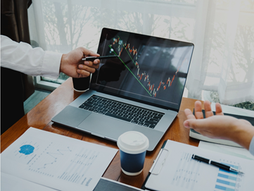 Sistem Ekonomi Campuran