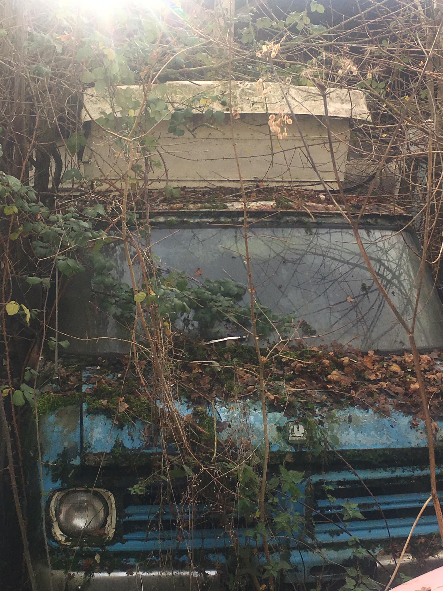 Bedford CF2 Van Junkyard Sunday's