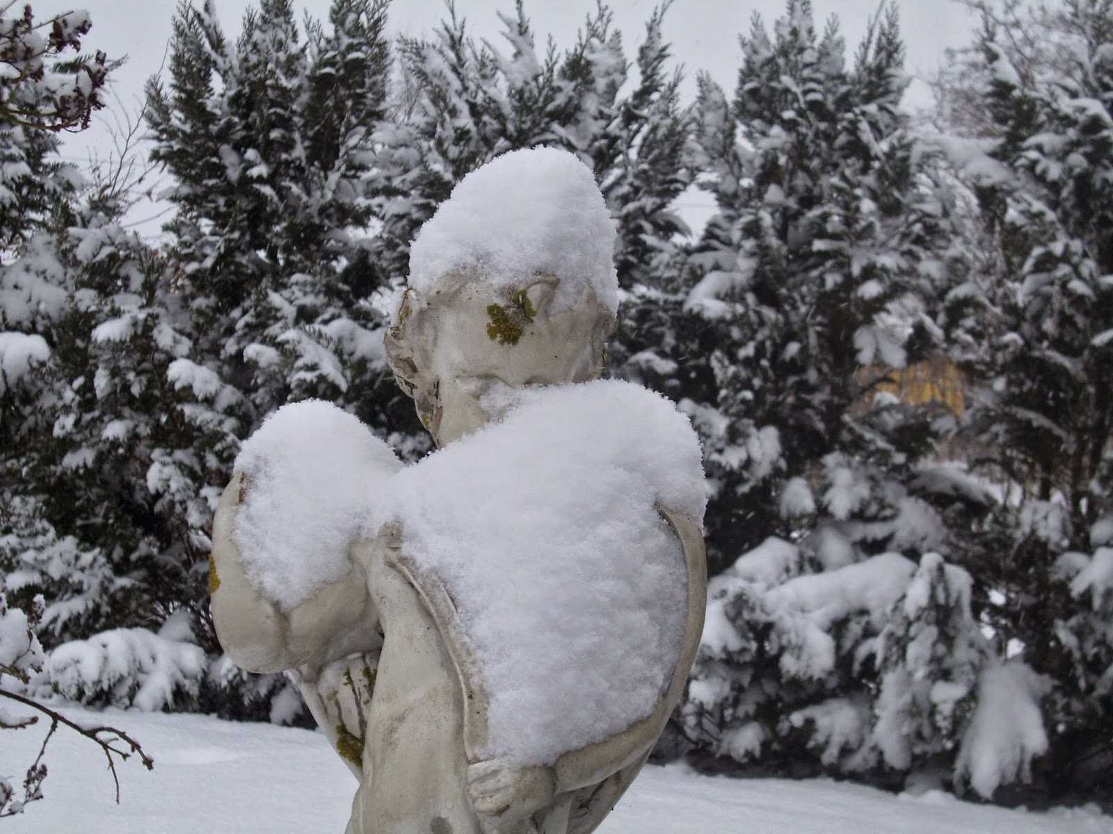 KIM BARKMANN SCHREIBT: Ein Hund kam zur Hintertür herein
