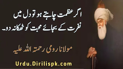 Rumi Quotes in Urdu