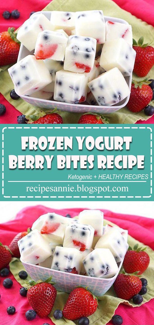 FROZEN YOGURT BERRY BITES RECIPE anniejsrecipes86