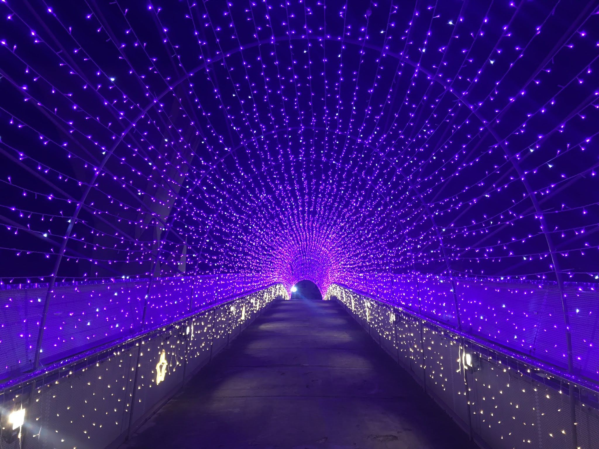 Tainan Science Park Christmas Lights 2020 My Life Abroad