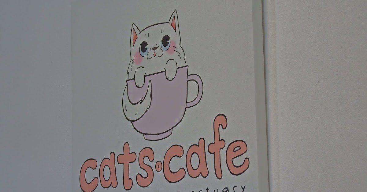 [JB,Malaysia] Cats Cafe First Cats Cafe In JB Just Another