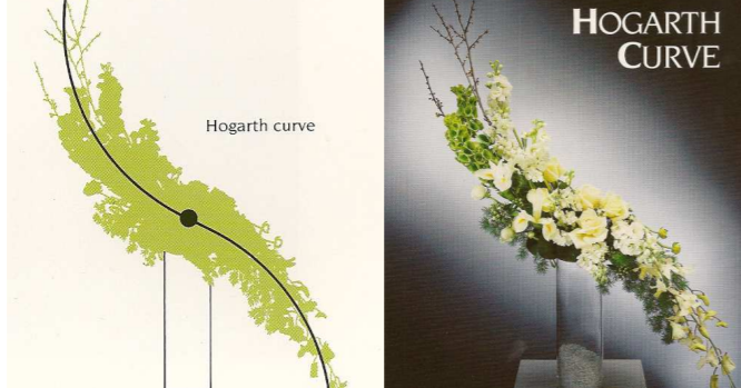 Hue Angles: The Mathematics of Flower Arrangement