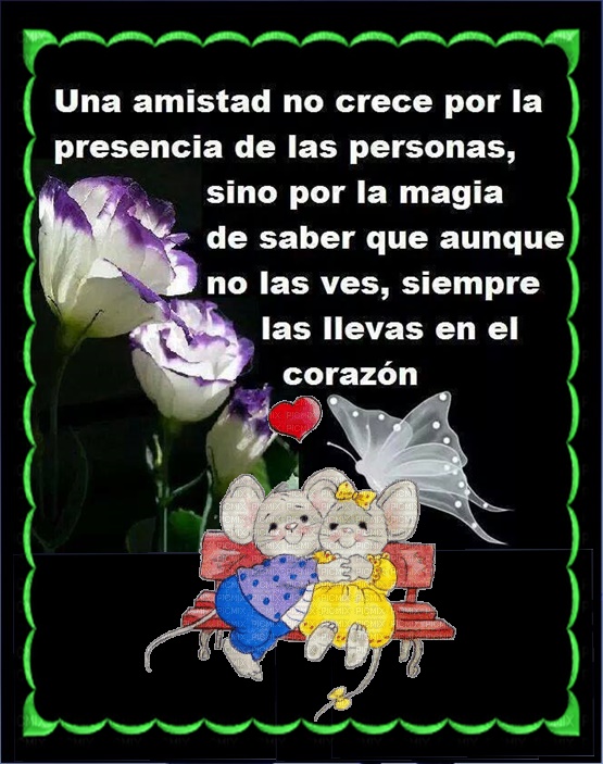 Sueños de Amor Y Magia: Una amistad no crece por la presencia de las ...