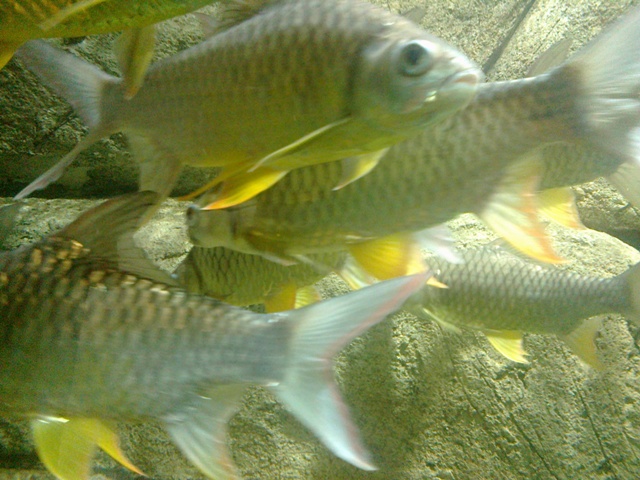 Joranbiru Blogsport Com Zoo Negara Joranbiru Blogsport Com Zoo Negara
