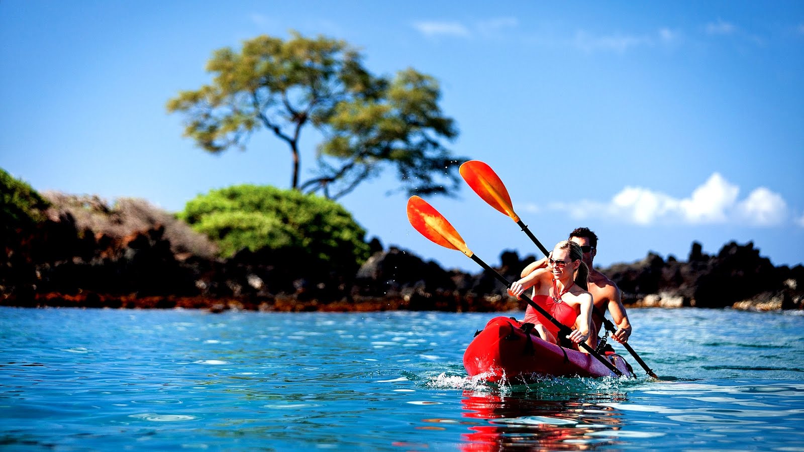 Kayaking In Maui Kayak Choices