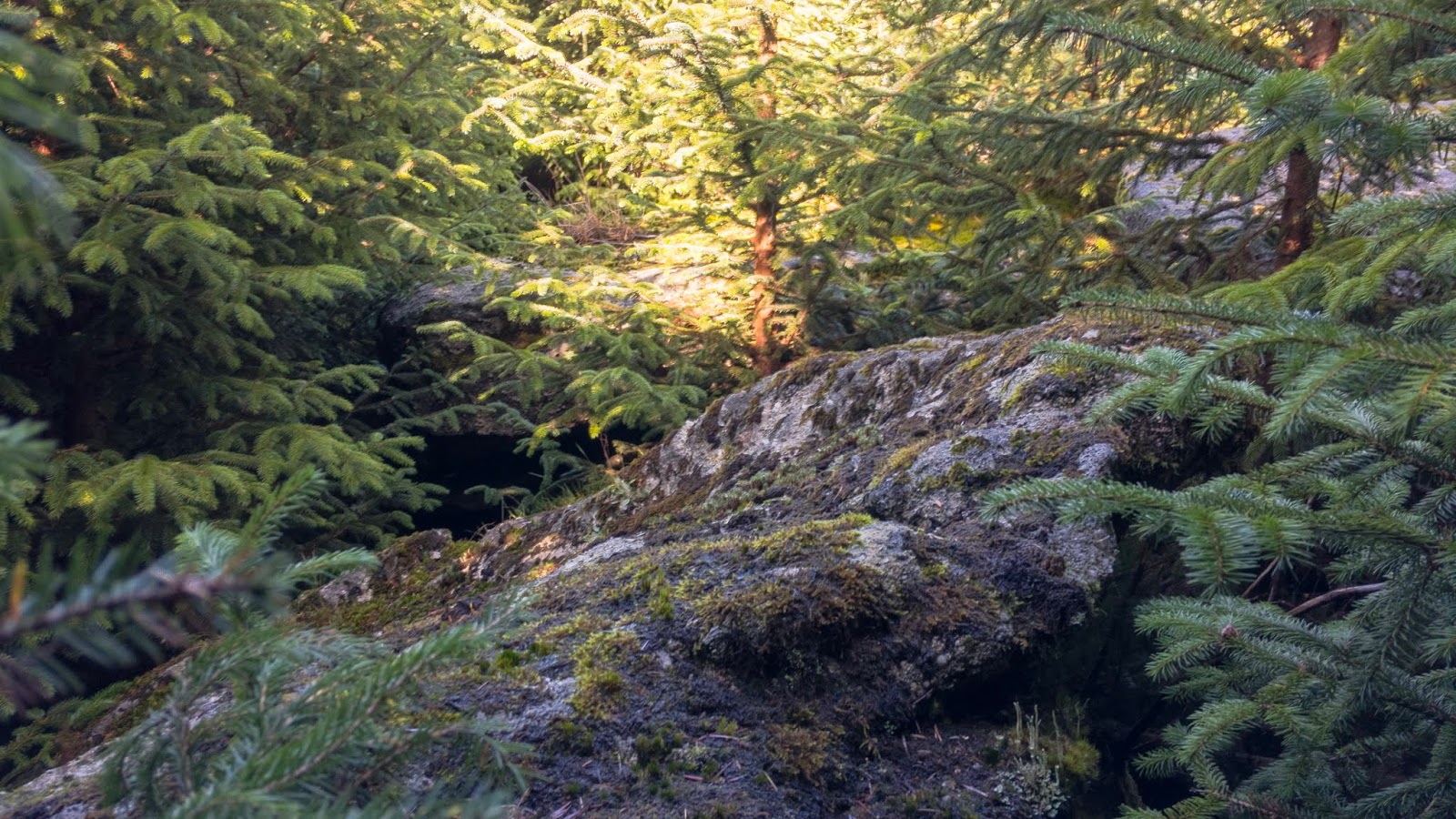 Max Piper Tor Bagger Dartmoor Finding the elusive Lowton Borough Rocks