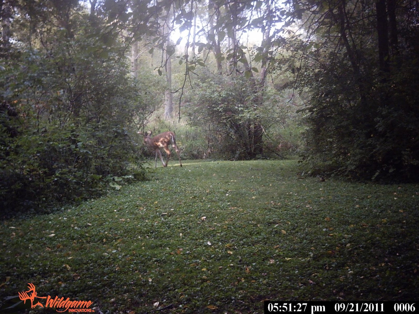 Illinois Wisconsin Fishing Archery Season Is Right Around The Corner!