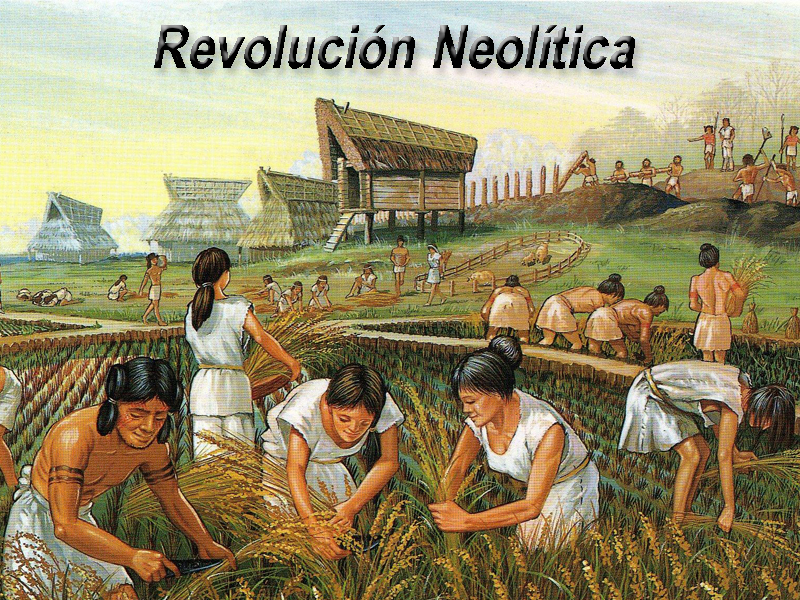 Revolución Neolítica Profesora Ramirez Maria Revolución Neolítica Profesora Ramirez Maria
