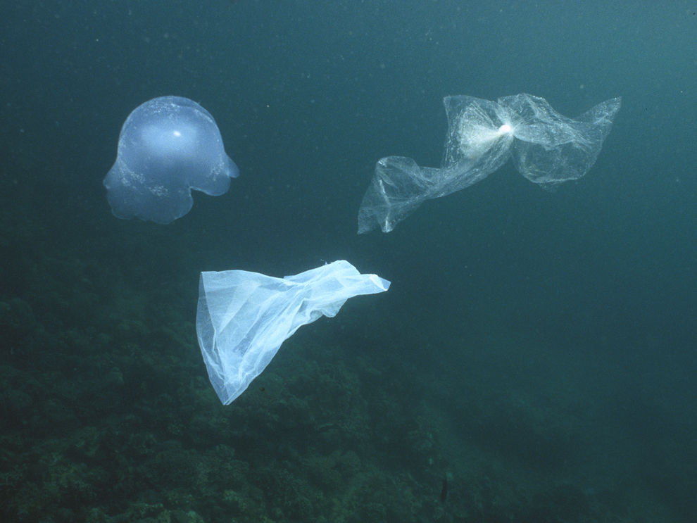 Sikabukabu Mambaco Sampah Masyarakat Dunia berkumpul di
