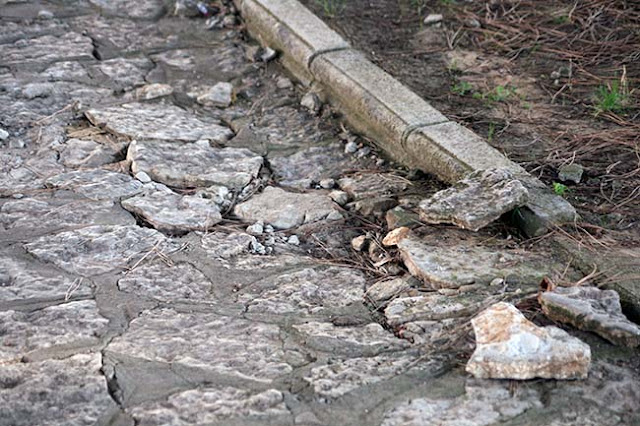 El parque de Santa Ana, olvidado por el Ayuntamiento - Noticias de