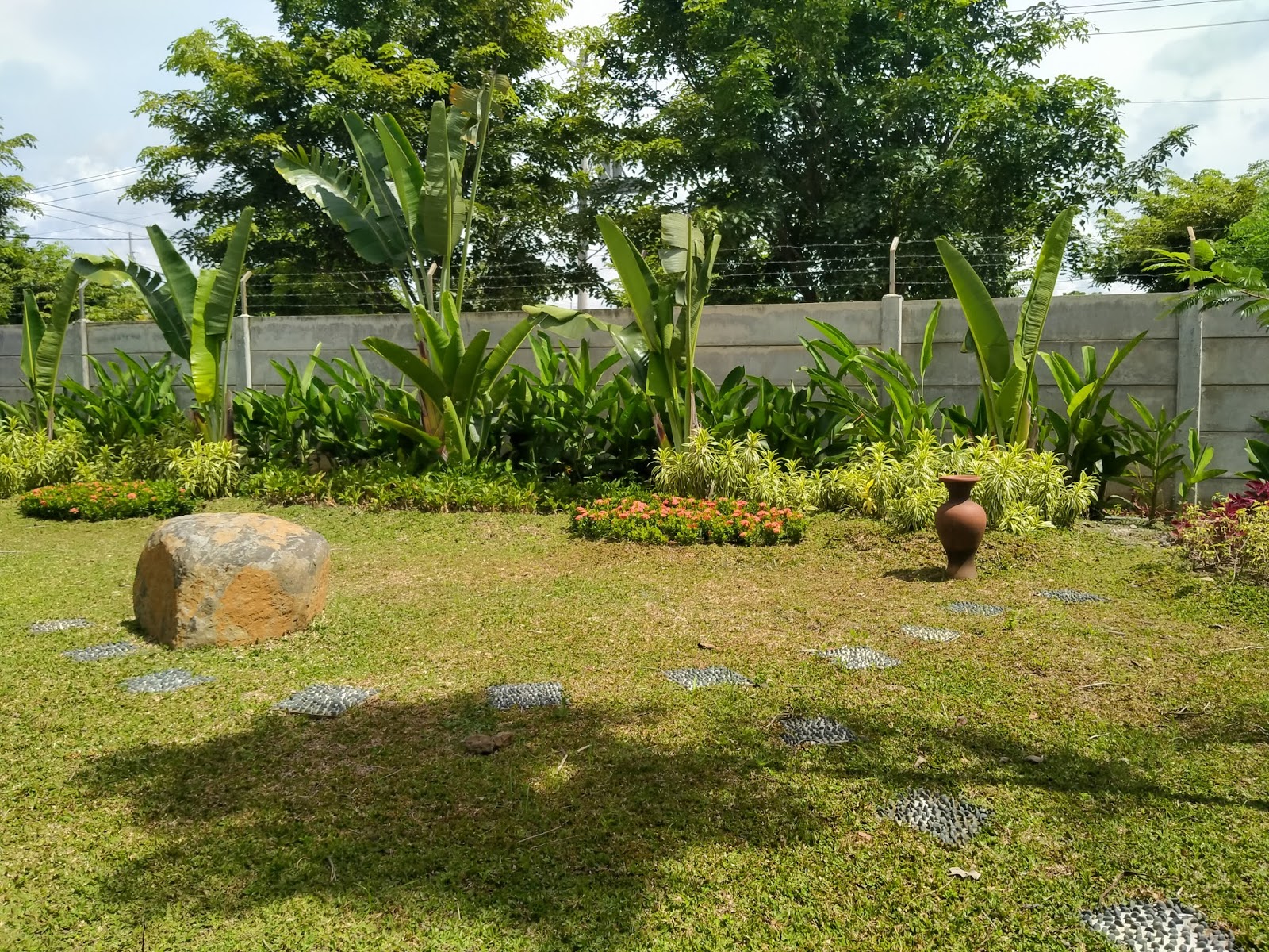 CONTOH GAMBAR TAMAN SINOX NURSERY ~ SINOX NURSERY