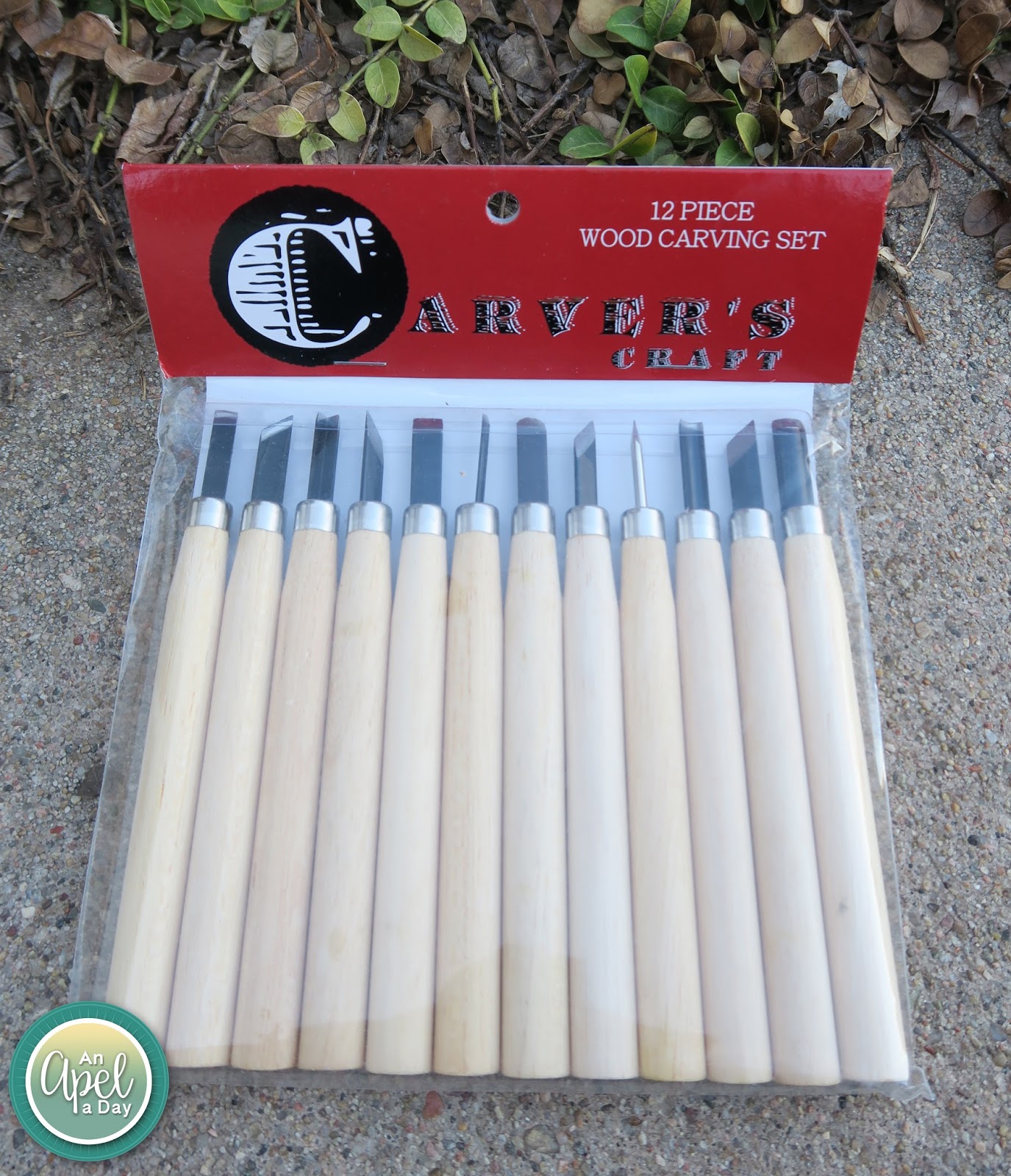 An Apel a Day Beginner's Carving Tool Set Review