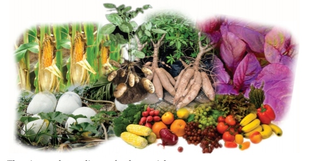 Edible Parts of Plants - Kerala UPSA Helper (UPSAH)