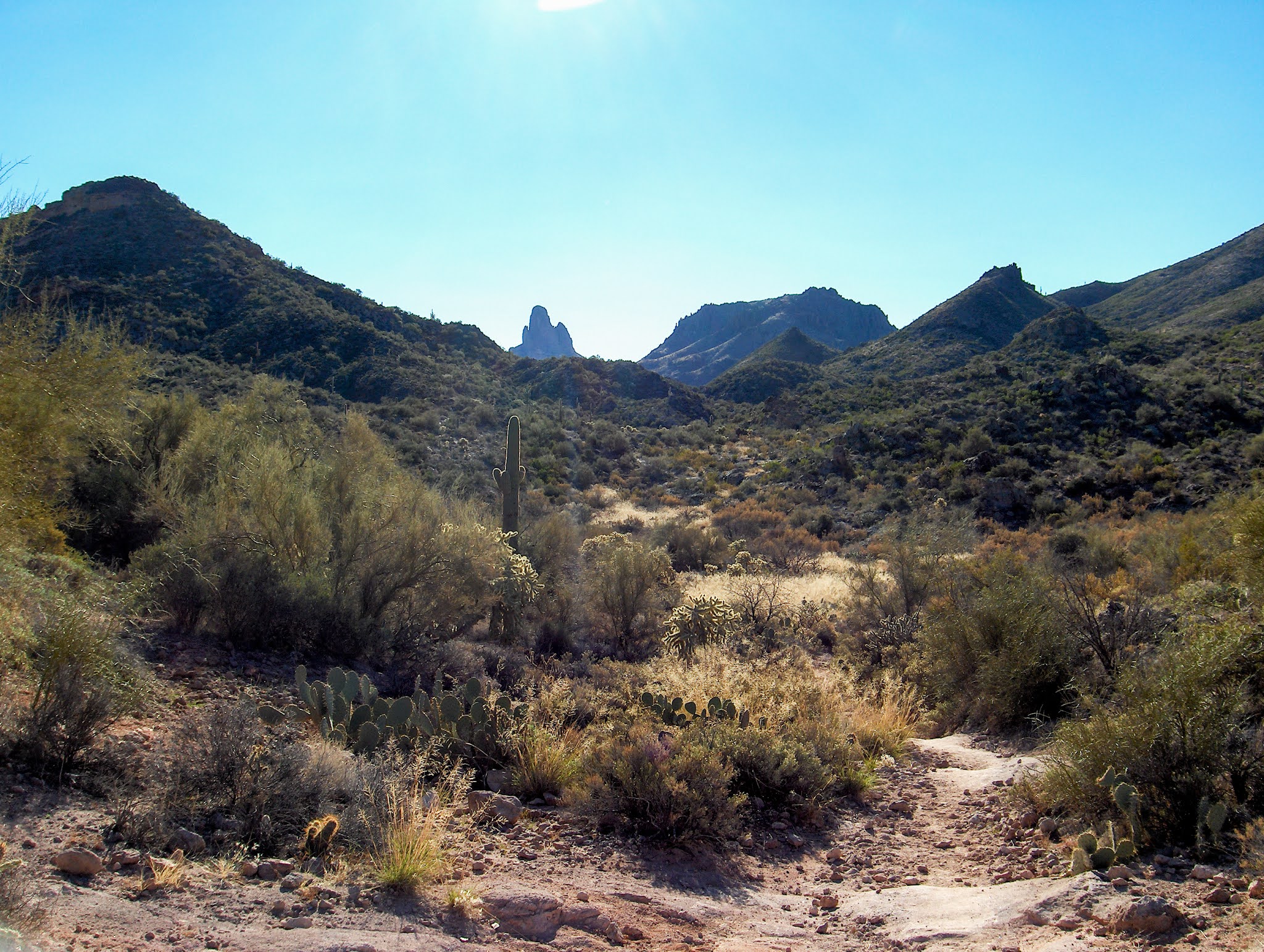 Walking Arizona: A Different View of Weavers Needle, Superstition ...