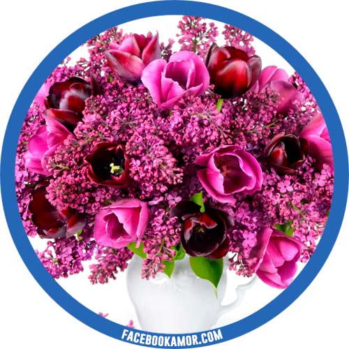 imágenes de flores para perfil de facebook imágenes de flores para perfil de facebook