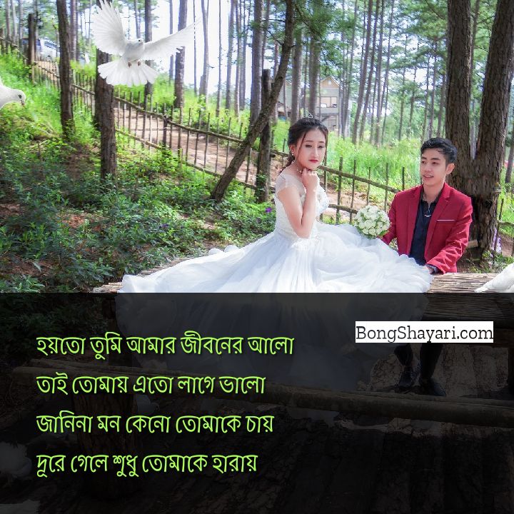 Top 50 Bangla Love Status for FB Download Love Status Text & Images