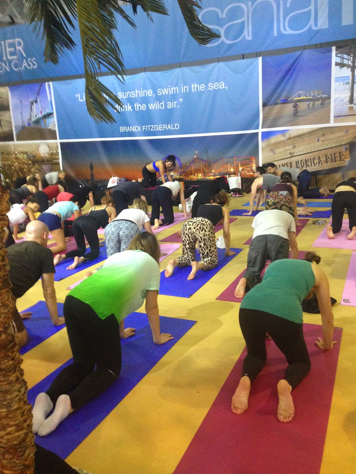 Sarah Tucker author, she loves you yeah, yeah, yeah YOGA SHOW