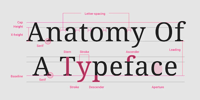 anatomy-of-a-typeface