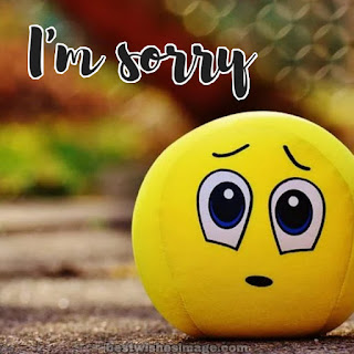 i am sorry emoji images photo download