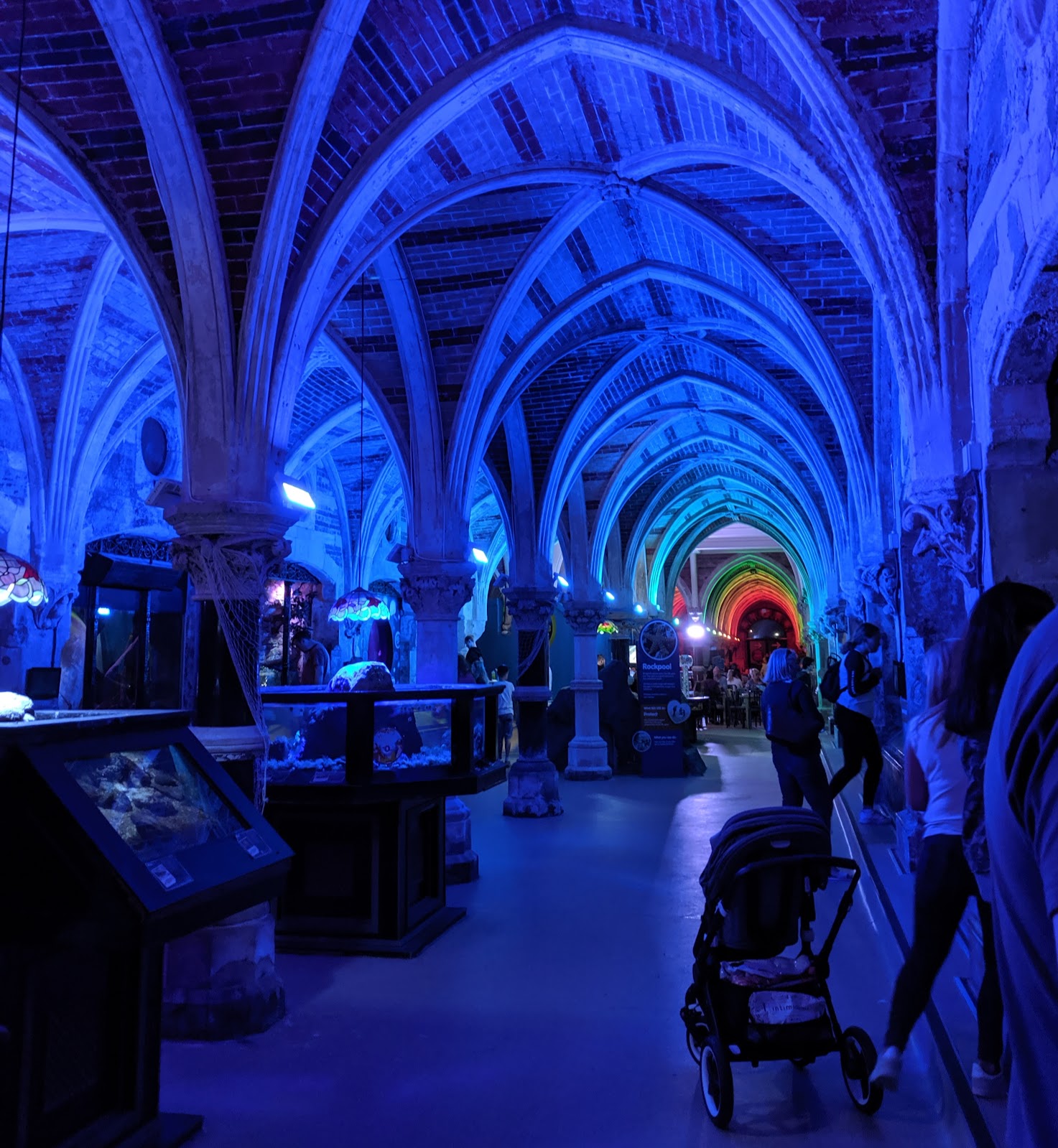 11 Top Tips for Visiting Brighton with Kids North East Family Fun