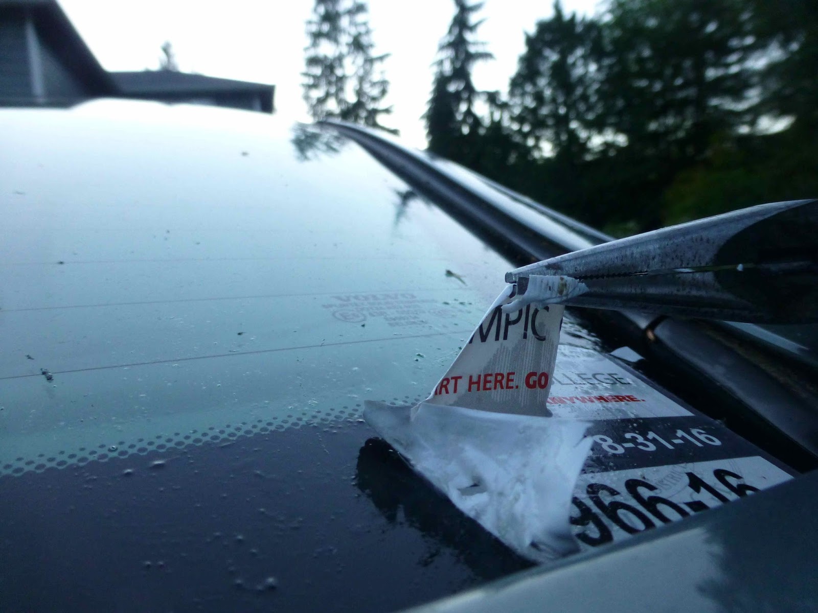 ScraPerfect Removing Car Window Sticker Decal Sticky situation SOLVED!