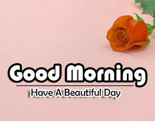 Beautiful-Good-Morning-4k-Images-Download-For-GF-Friend