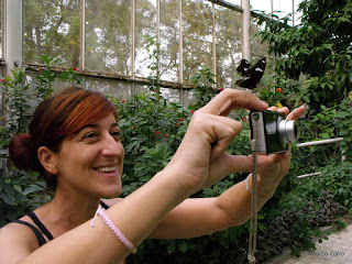 JARDÍN DE MARIPOSAS, BANGKOK. TAILANDIA 