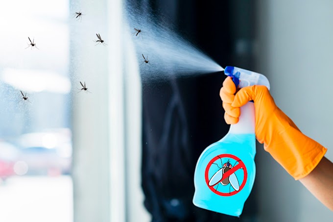 Insecticida casero, Elimina esos molestos mosquitos, moscas o cucarachas con esto