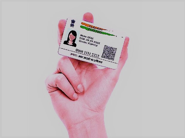 Aadhaar Update: Use mAadhaar App to Avail These Services