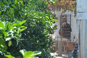 DSC 2721 | Lamianow.gr