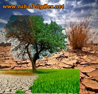 küresel ısınma iklim degişikligi