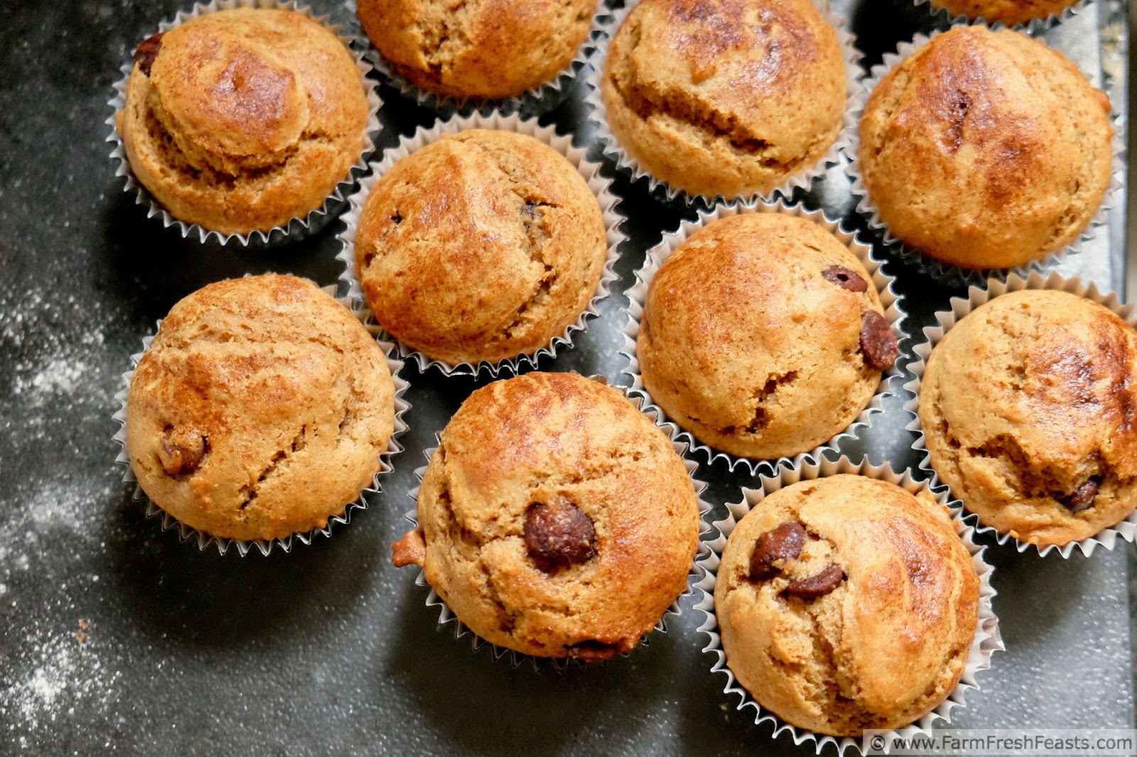 Farm Fresh Feasts: Healthy Tiramisu Muffins #MuffinMonday