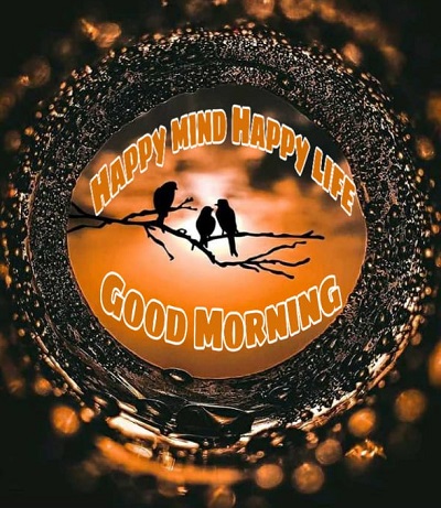 Top 50 Good Morning Quotes to Start the fresh Day Top 50 Good Morning Quotes to Start the fresh Day