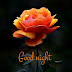 Top 10 Good Night Images, Greetings, Pictures for whatsapp - bestwishespics