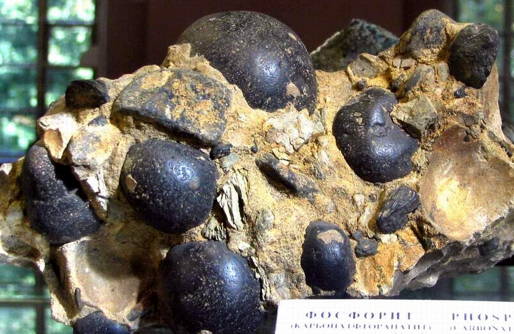 Фосфориты содержат. Фосфорит осадочная порода. Фосфориты и апатиты. Фосфорит минерал. Минерал фосфорита формула.