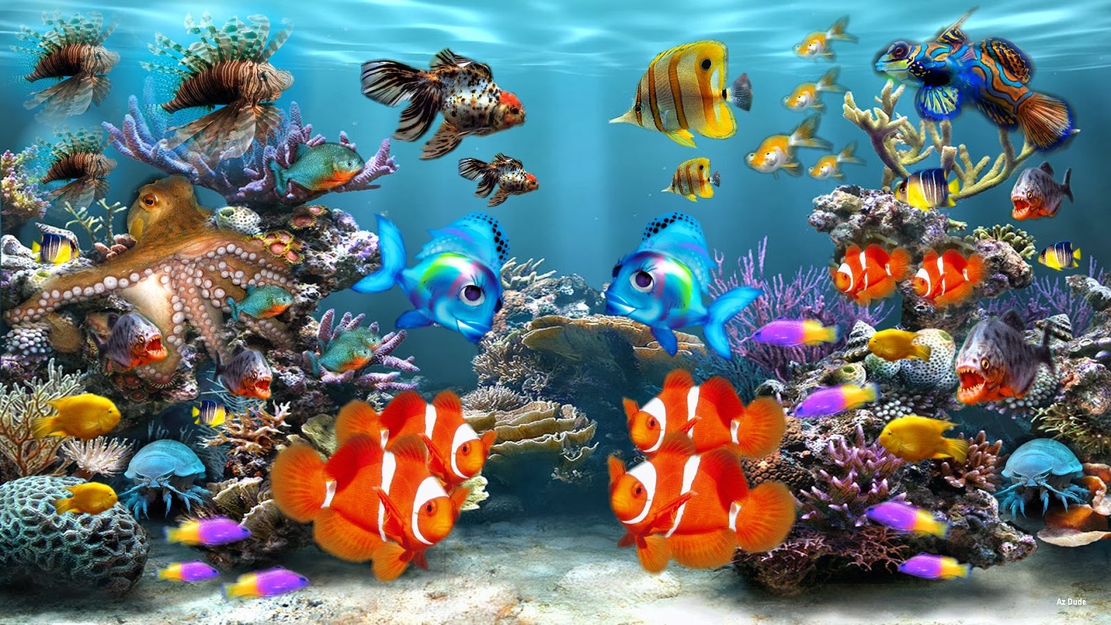 aquarium-hd-wallpapers-wallpaper-gallery
