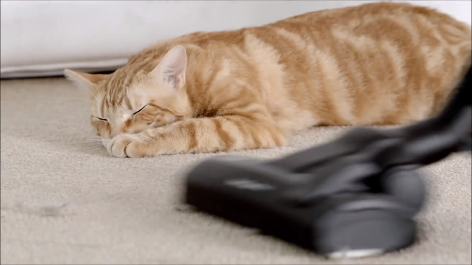 What is The Quietest Vacuum Cleaner My Vacuum Guides