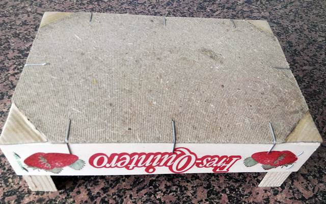 Caja de fresas con esquinas de cartón 