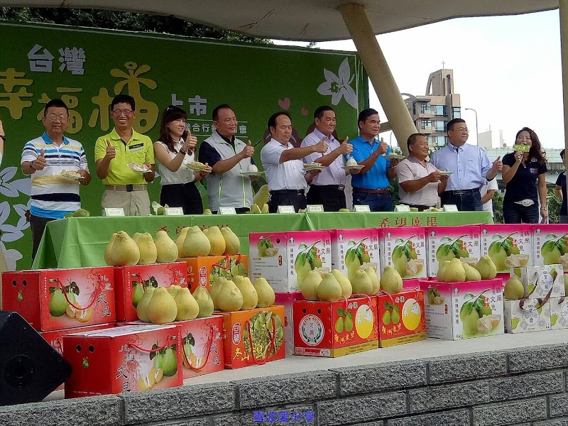 如何剝柚子?  挑文旦? 台灣幸福柚行銷分享會   