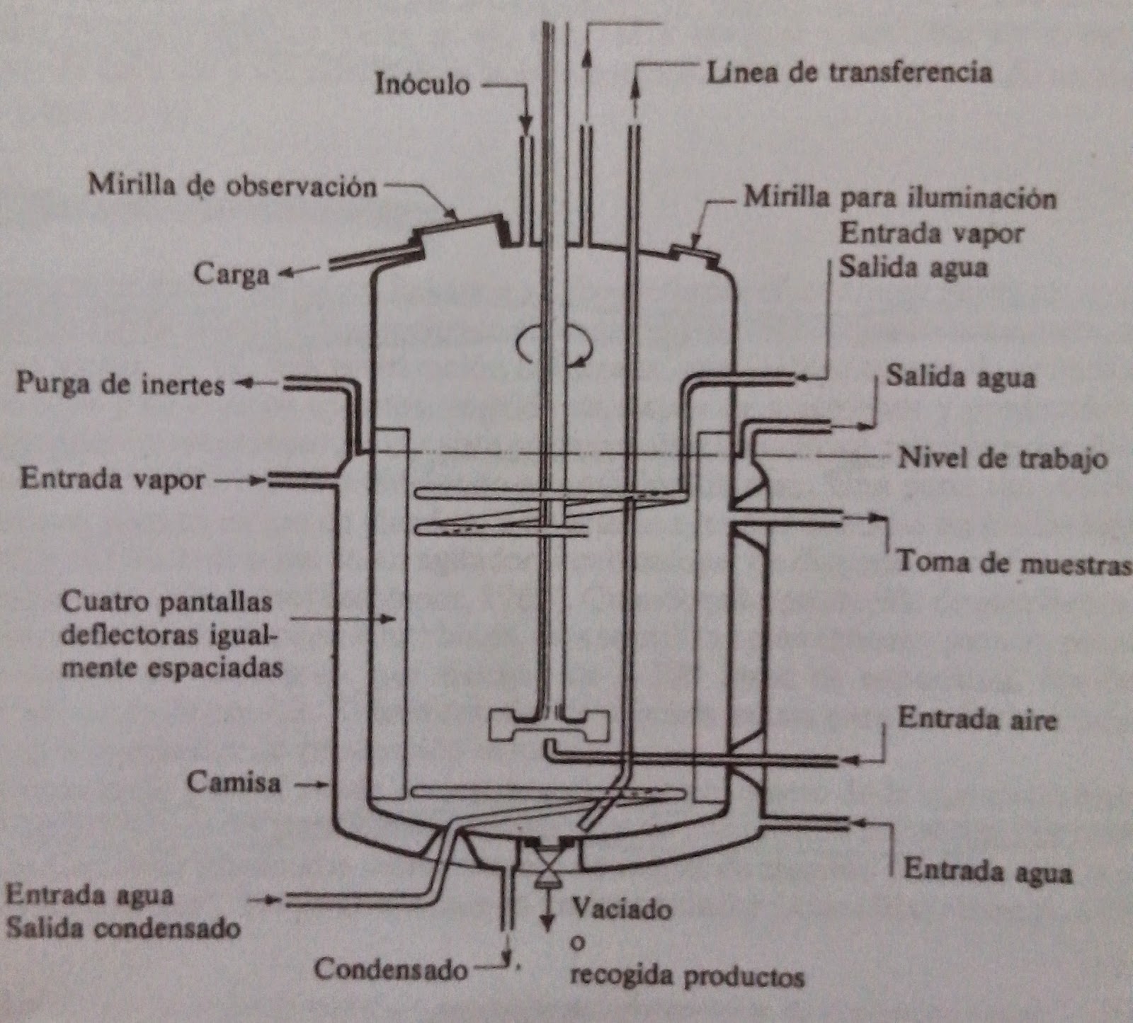 Anfibio Dormitorio Desalentar Fermentación.: Capítulo 4.- Principales tipos de fermentadores.