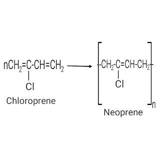 The image shows neoprene and its monomer.