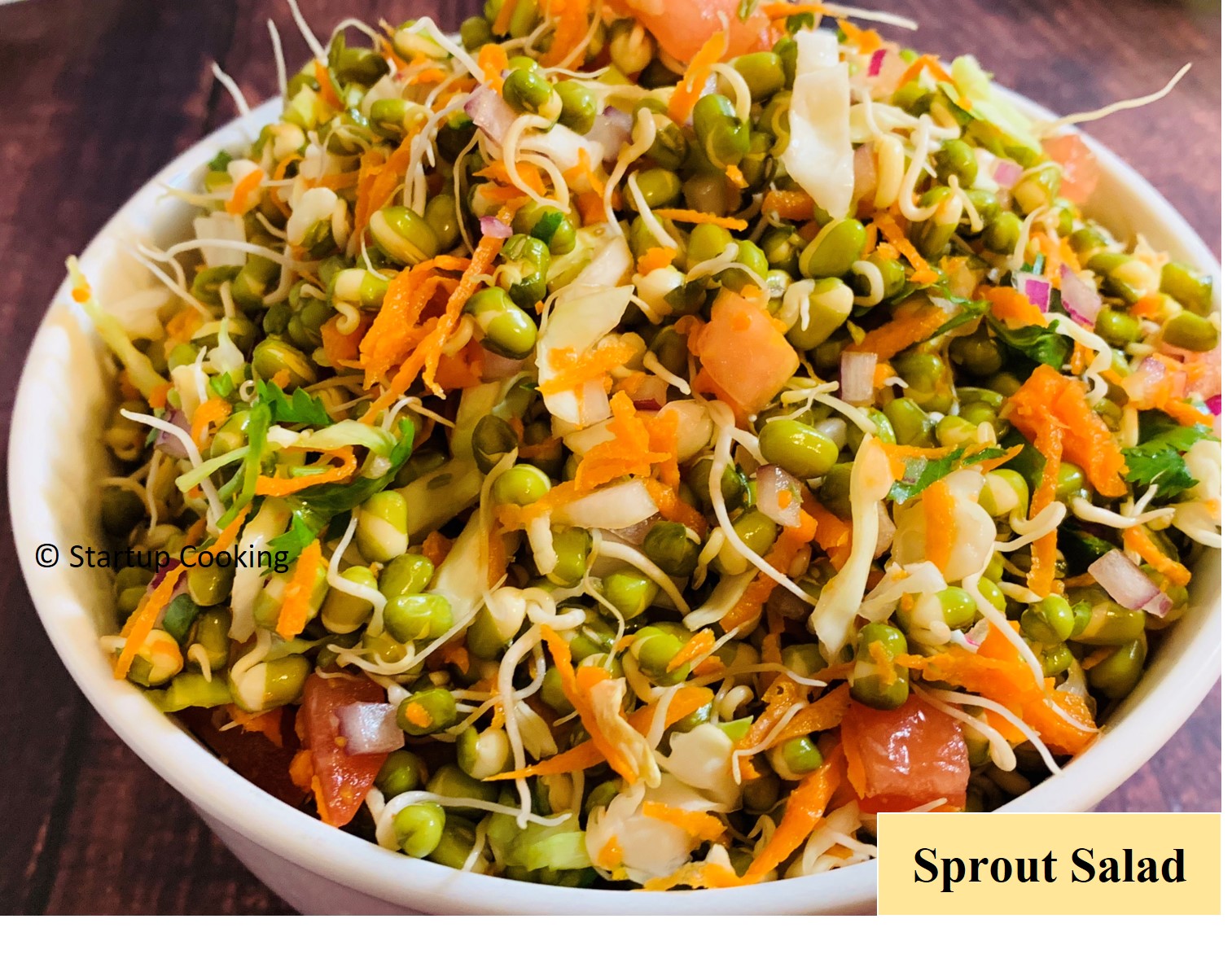 Sprouted whole green gram Salad Recipe Healthy Sprout Salad Salad