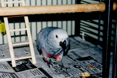 Quincy0600_1.jpg