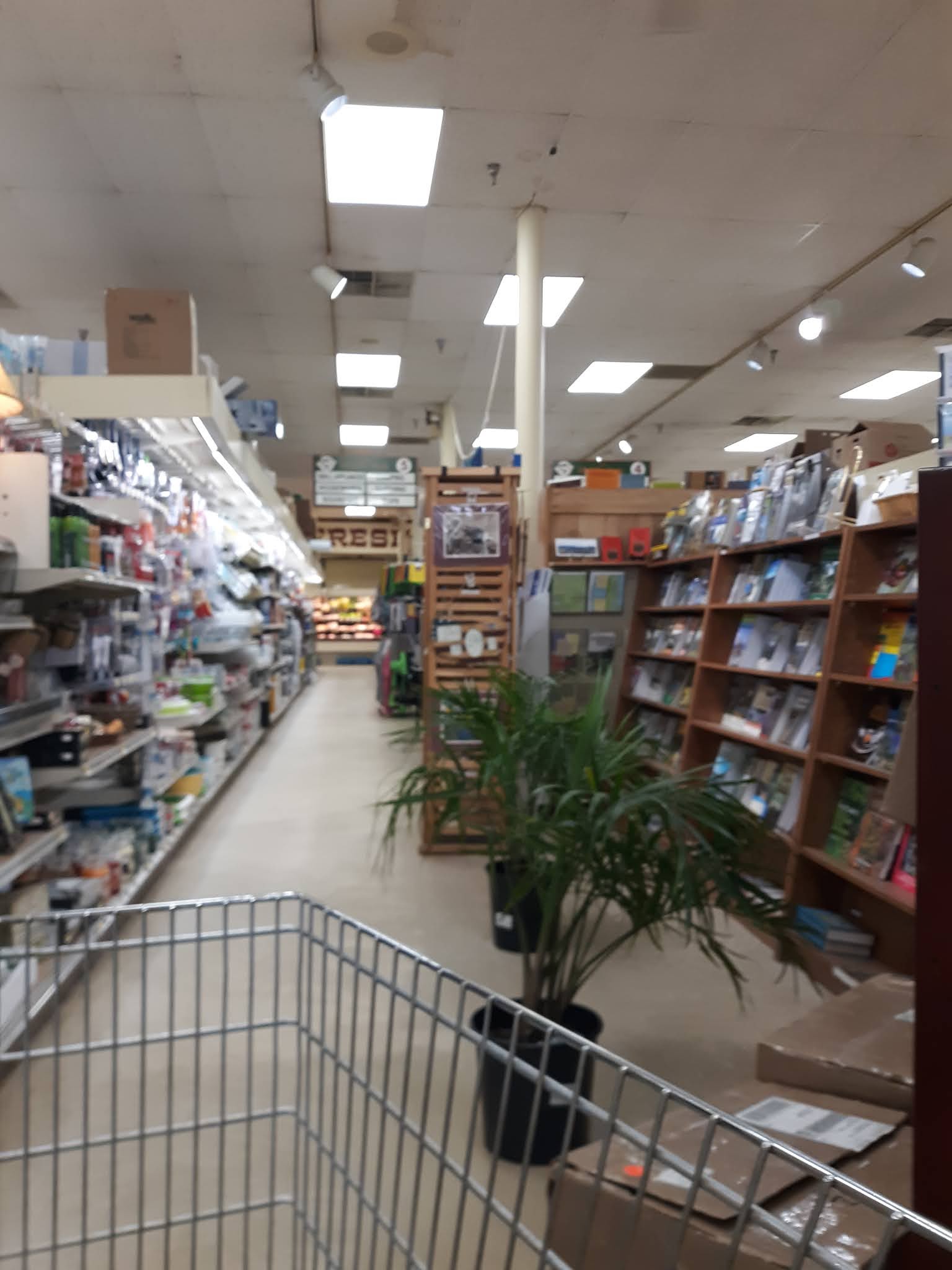 Retail Regents Blog A Modern General Store Charlie John's Store