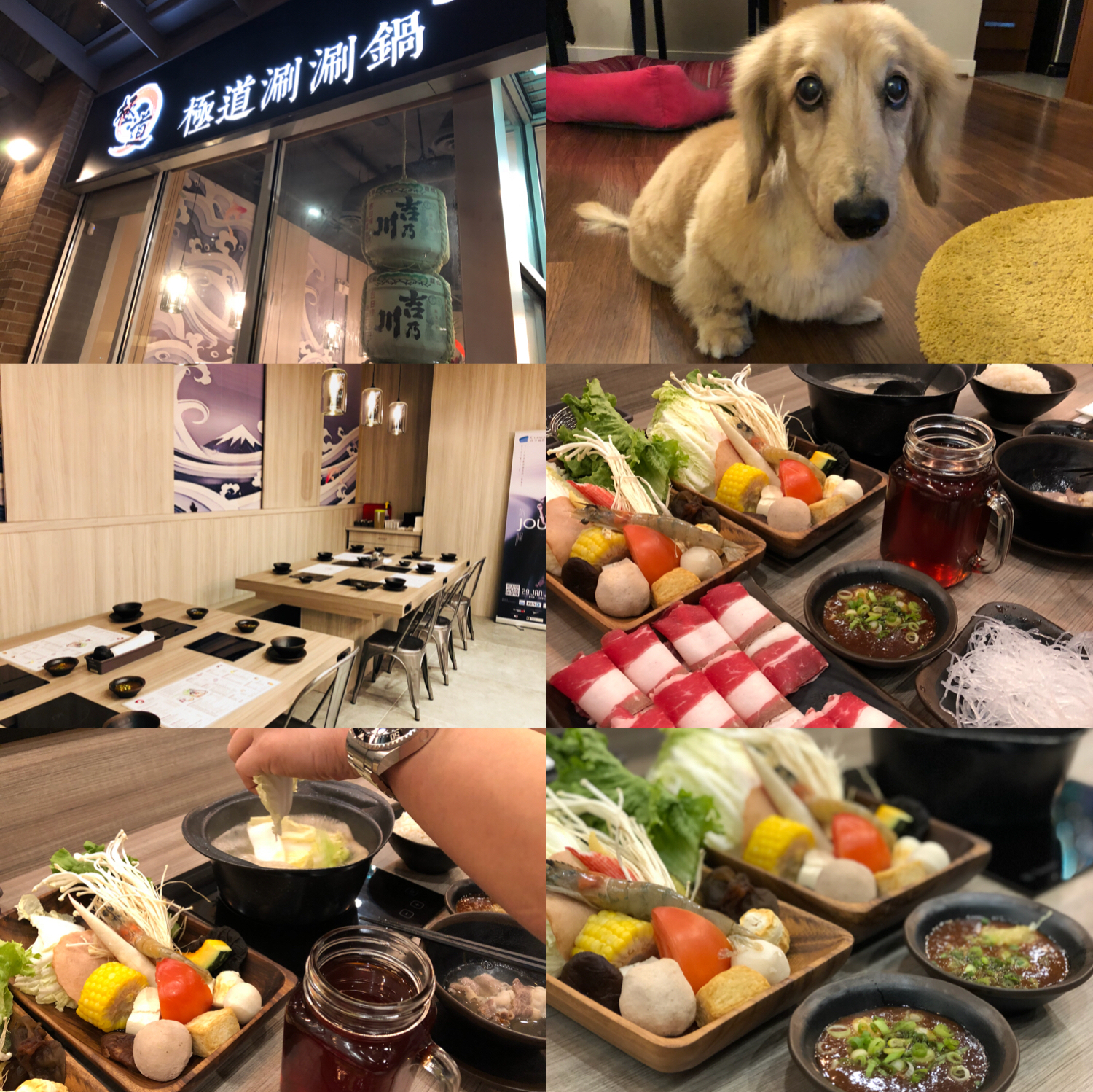 溫哥華的甜鹽巴小姐 本拿比美食 極道涮涮鍋