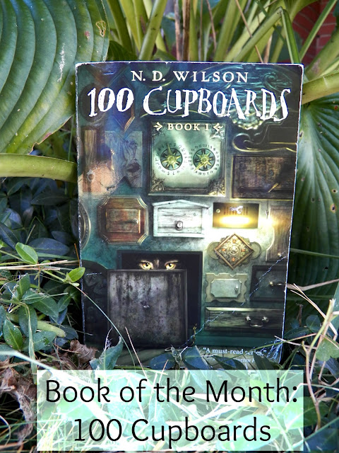 Book Review: 100 Cupboards