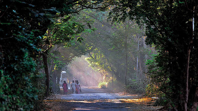 TOP 10 PLACE TO VISIT GOREGAON  TO EXPLORE NATURE
