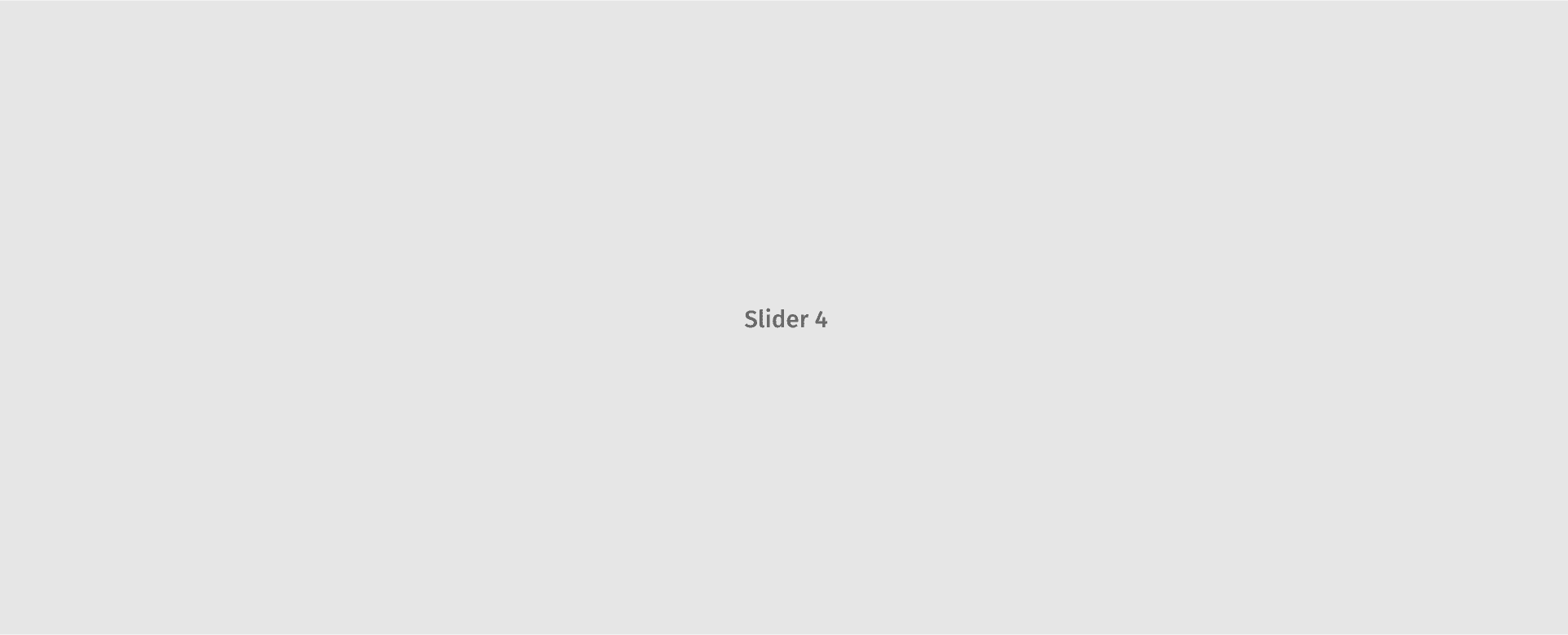 Slider Image 04